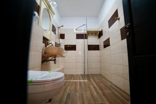 La salle de bains est pourvue de toilettes et d'une douche en verre. dans l'établissement Curtea Veche, à Hunedoara