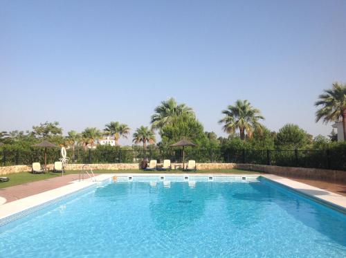 a swimming pool with palm trees in the background at Arcos Gardens Sol Rent Golf in Arcos de la Frontera