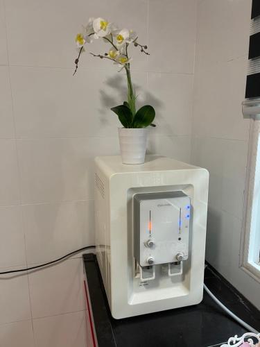 a white microwave with a plant on top of it at No 11 Nazirin Homestay Tmn Desa Manjung Lumut in Lumut