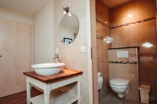 a bathroom with a sink and a toilet and a mirror at Le vieux Sanglier - 41 pers - Malmedy in Malmedy