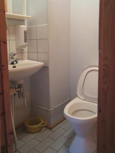 a bathroom with a toilet and a sink at Haapaniemi Cottages in Iisalmi