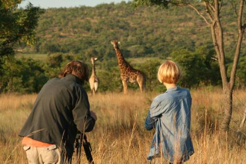 a man and a boy looking at giraffes in a field at Makweti Safari Lodge in Welgevonden Game Reserve