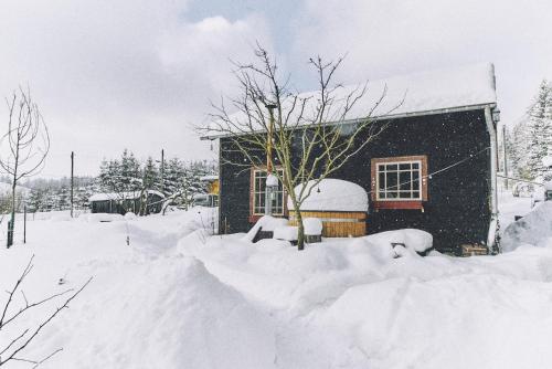 Blickinsfreie - Cabin im Winter