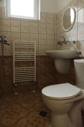a bathroom with a toilet and a sink and a mirror at Семеен хотел Орфей in Teshel