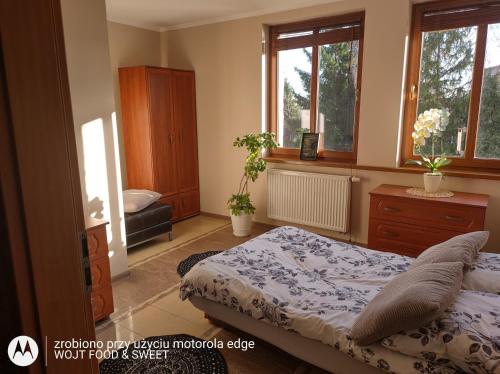 a bedroom with a bed and a dresser and windows at Apartament "Good Night" in Nowy Dwór Gdański