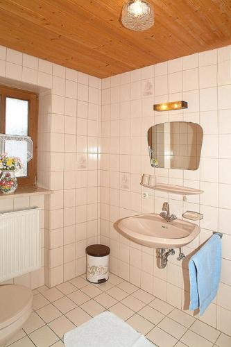 a bathroom with a sink and a toilet at Exenbacher Hof - Pension in Arnbruck
