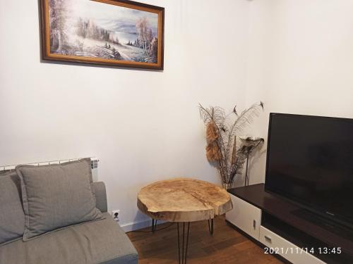 Μια τηλεόραση ή/και κέντρο ψυχαγωγίας στο Willa Słubica