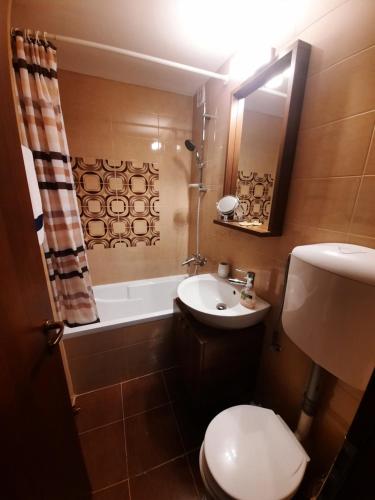 a bathroom with a toilet and a sink and a shower at Happy apartament in Sibiu