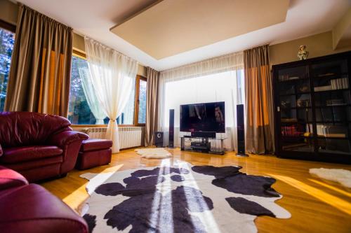 a living room with a couch and a television at Vila Sonja in Predeal