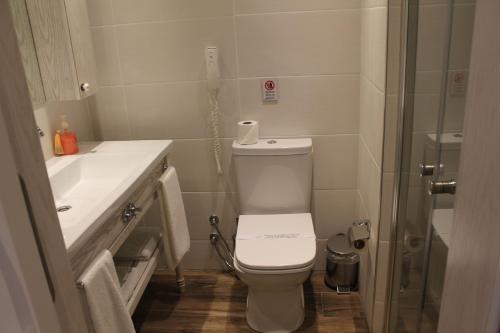 a small bathroom with a toilet and a shower at Bella View Art Boutique Hotel in Kérynia