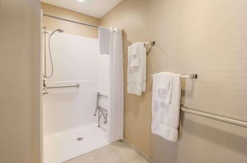 ein Badezimmer mit einer Dusche, einer Badewanne und Handtüchern in der Unterkunft Jackson Park Inn, Ascend Hotel Collection in Pulaski