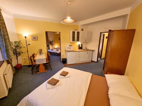 a small room with a bed and a kitchen at Penzion Rotunda in Harrachov