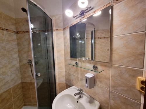a bathroom with a shower and a sink and a mirror at Penzion Rotunda in Harrachov