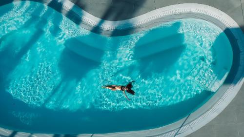 a bird is swimming in a swimming pool at Mykonos Blanc - Preferred Hotels & Resorts in Ornos