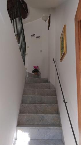 Φωτογραφία από το άλμπουμ του Residence Domus στην Πίζα