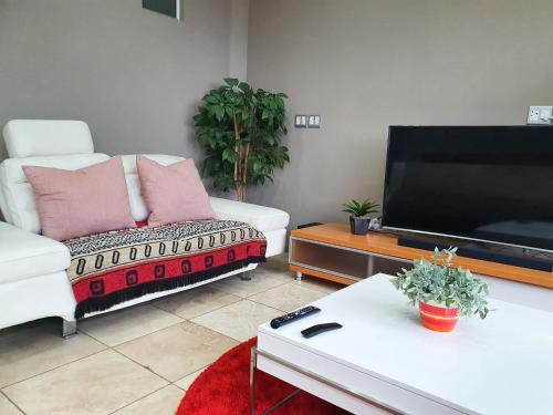 a living room with a couch and a flat screen tv at Franklin L Apartment in Johannesburg