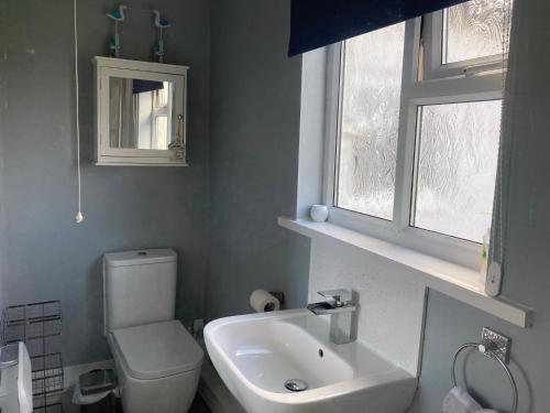 ein Badezimmer mit Toilette und Waschbecken und einem Fenster in der Unterkunft Seabirds - 3 bed chalet, dog friendly, Bridlington in Bridlington