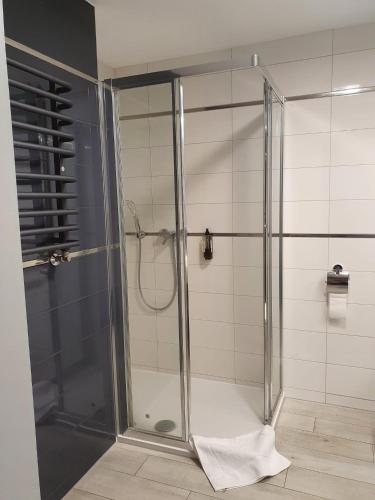 a shower stall with a glass door in a bathroom at Apartament Czarna Góra BORMIO 2 in Sienna