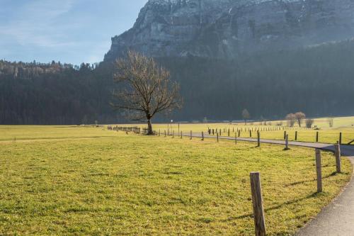 a tree in the middle of a field with a fence at Wohnung Kanisfluhblick in Bizau