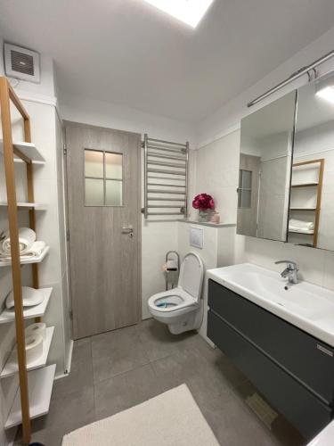 a bathroom with a toilet and a sink at Start Apartments 2 in Bucharest