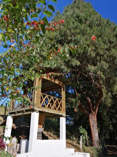 Zahrada ubytování ALMA Glamping - San Francisco Cund - A 1h de Bogotá