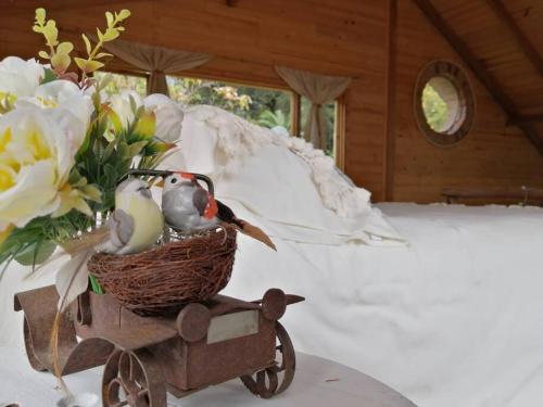 Fotografie z fotogalerie ubytování ALMA Glamping - San Francisco Cund - A 1h de Bogotá v destinaci San Francisco