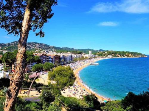 Lujoso apartamento a 1a línea del mar