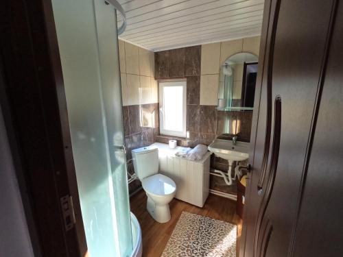 un bagno con un water e un lavandino di Casa Gramy a Neagra Şarului