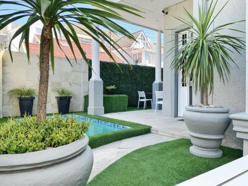 a courtyard with two large pots with palm trees in it at 4 on Varneys Guest House in Cape Town