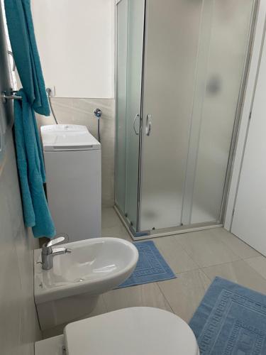 La salle de bains est pourvue d'une douche, de toilettes et d'un lavabo. dans l'établissement Un balcone sul centro storico, à Reggio d'Émilie