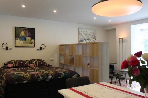 een slaapkamer met een bed en een boekenplank bij Appartement Dersaborg in Valkenburg