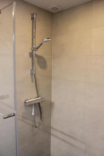 a shower in a bathroom with a glass door at Appartement Dersaborg in Valkenburg