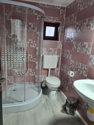 W łazience znajduje się toaleta, prysznic i umywalka. w obiekcie Pensiunea Maya w mieście Cenad