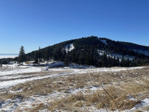 a snow covered hill with trees on top of it at Fenyőtoboz kulcsosház in Izvoare