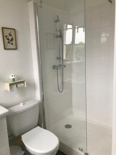 ein weißes Bad mit einer Dusche und einem WC in der Unterkunft Appart meublé 45m2 calme et lumineux au Continental in Vittel