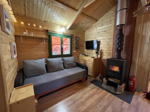 a living room with a couch and a stove at Fenyőtoboz kulcsosház in Izvoare