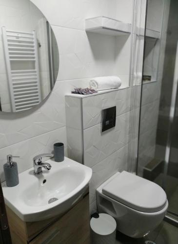 a bathroom with a sink and a toilet and a mirror at VIRGIN ROCKS APARTMENTS 1 in Kalabaka