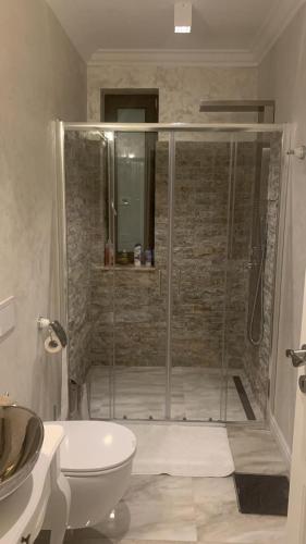 a bathroom with a shower and a toilet and a sink at Pensiunea Carpe Diem Spa in Dumbrăviţa