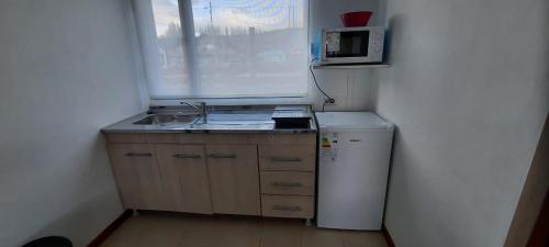 uma pequena cozinha com um lavatório e um micro-ondas em Tambo Aparts em El Calafate