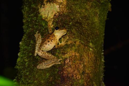 Imagen de la galería de Casa Azul Reserva Amazonica, en Leticia