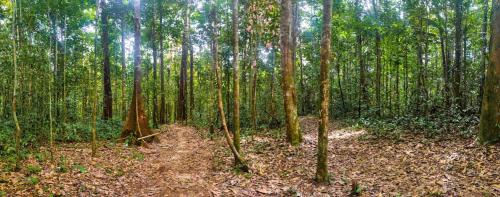 Imagen de la galería de Casa Azul Reserva Amazonica, en Leticia
