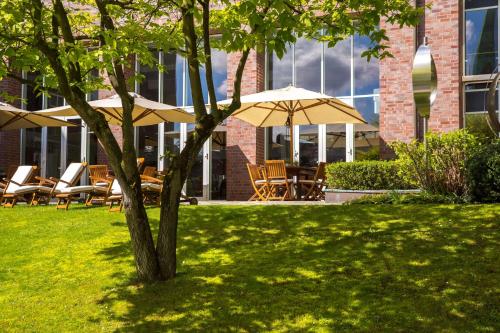 a tree with chairs and umbrellas in front of a building at Radisson Blu Senator Hotel, Lübeck in Lübeck