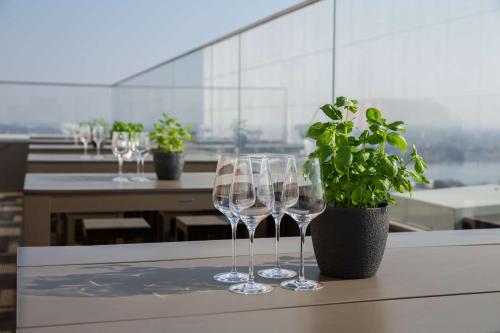 a row of wine glasses on a table with a potted plant at Radisson Blu Hotel, Hamburg in Hamburg