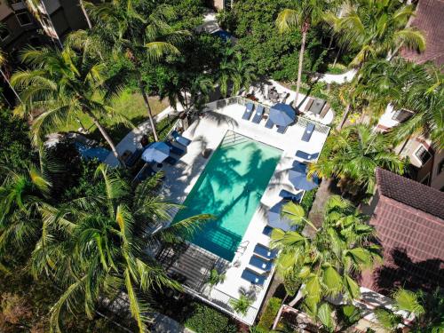 Sonesta ES Suites Fort Lauderdale Plantation في بلانتايشن: اطلالة علوية على مسبح وكراسي زرقاء واشجار نخيل