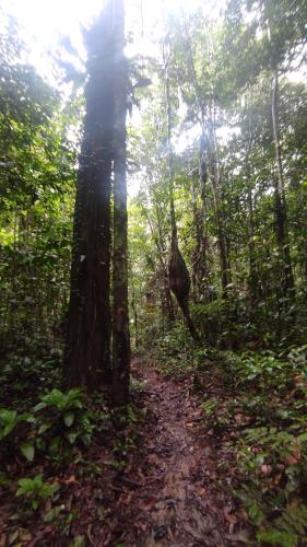 Imagen de la galería de Casa Azul Reserva Amazonica, en Leticia