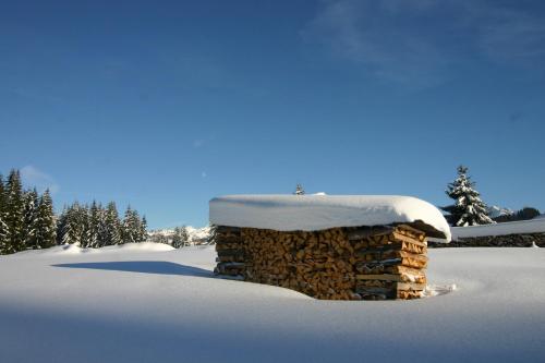 Chalet Génépi v zimě