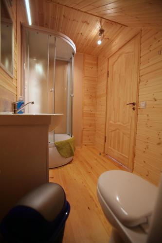a bathroom with a sink and a toilet in a room at Kempings ĒRGĻI in Bernāti