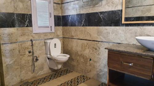 a bathroom with a toilet and a sink at Majestic Himalayan homestay in Nārkanda