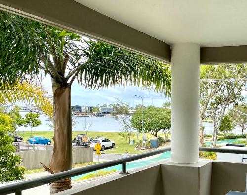 a palm tree sitting on a balcony with a view of the water at Excellsior Apartments in Mooloolaba
