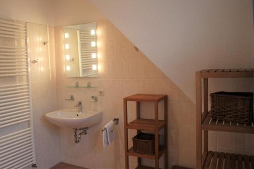 a bathroom with a sink and a mirror at Dwarslöper in Am Schwarzen Busch